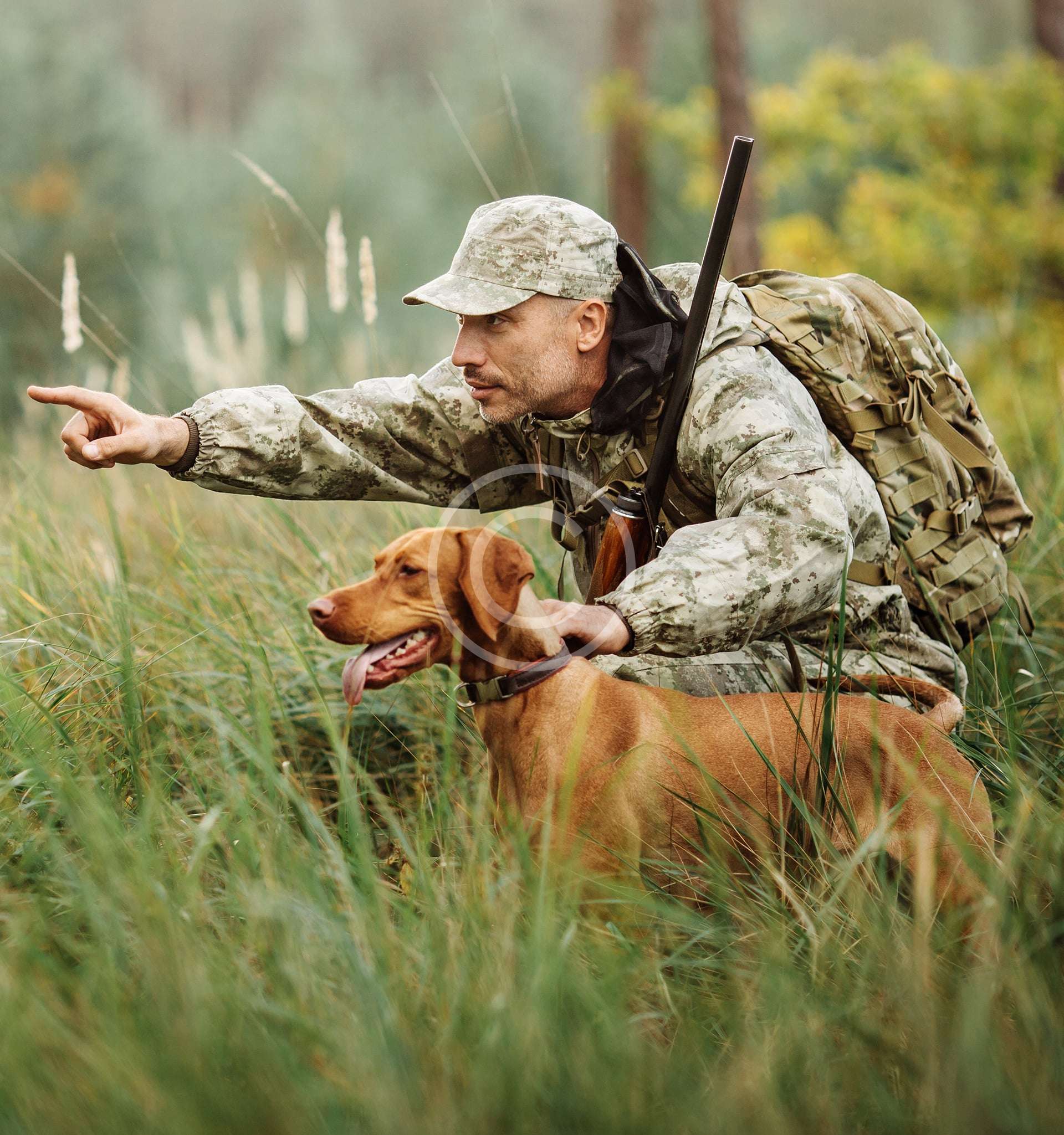 New hunting spots to train your dog and to get the needed prey New hunting spots to train your dog and to get the needed prey