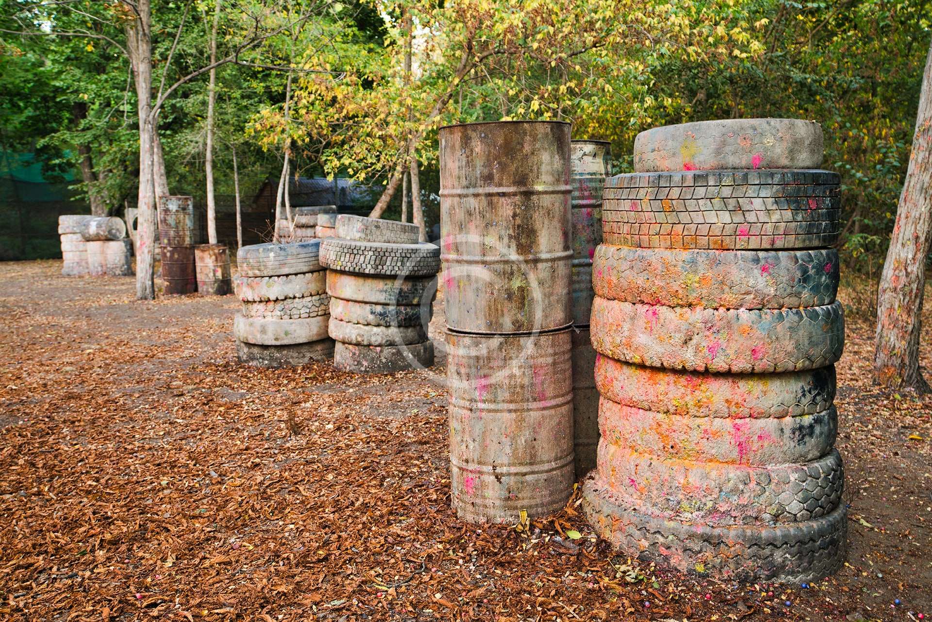 Sports that you have to try instead of boring lazy weekends!